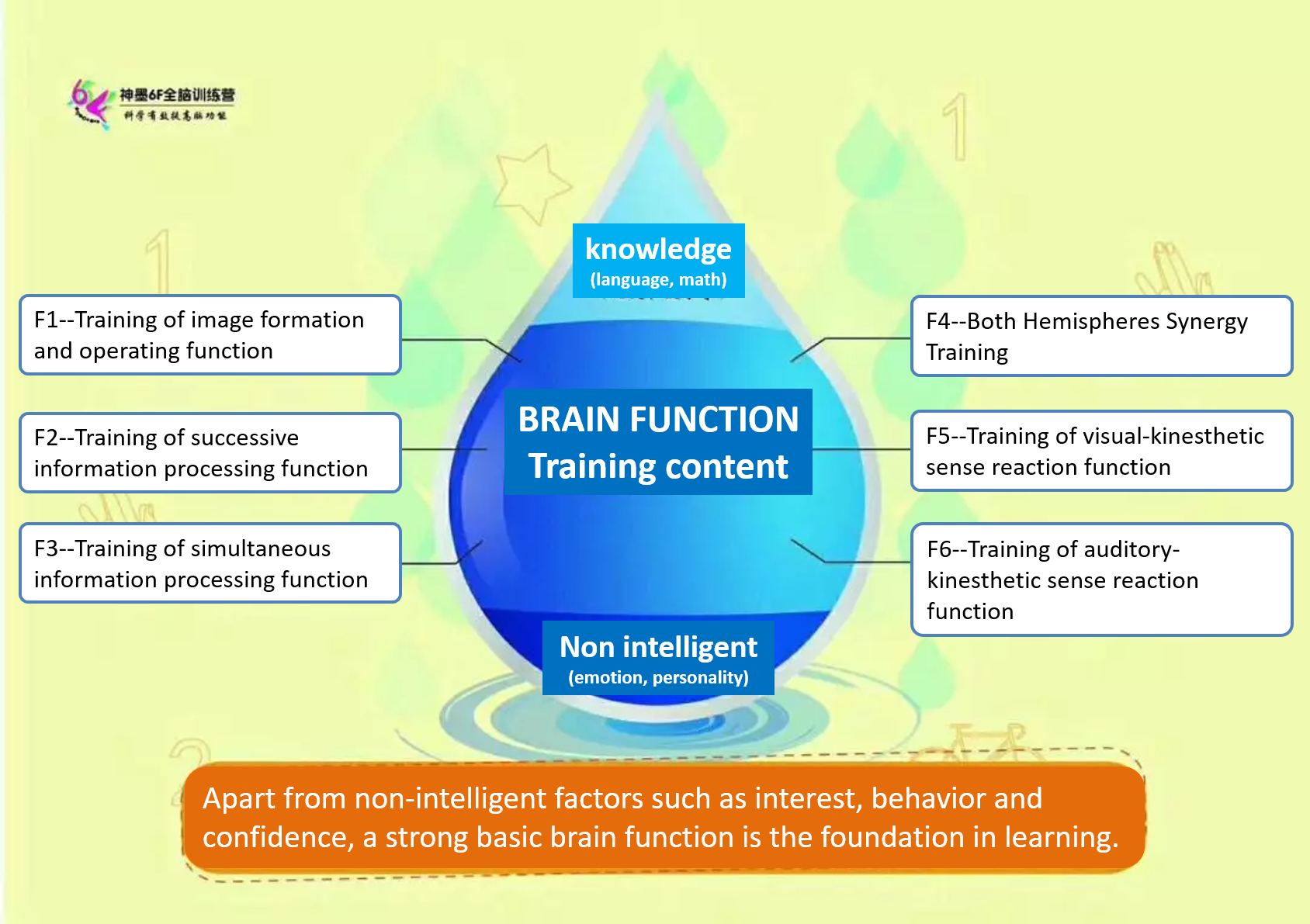 ShenMo 6F Whole Brain Training – Infinivity Training Sdn Bhd